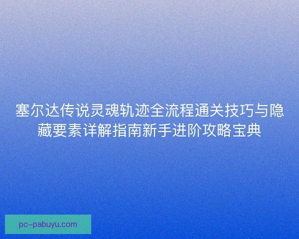 塞尔达传说灵魂轨迹全流程通关技巧与隐藏要素详解指南新手进阶攻略宝典