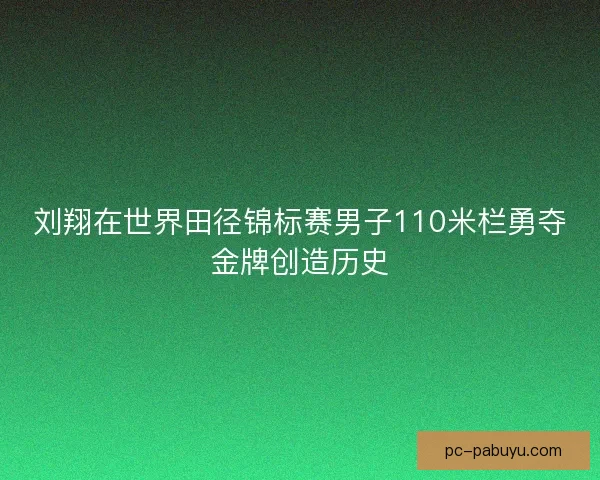 刘翔在世界田径锦标赛男子110米栏勇夺金牌创造历史