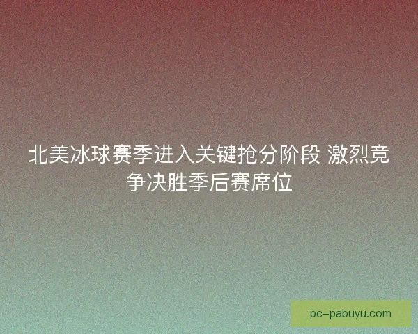 北美冰球赛季进入关键抢分阶段 激烈竞争决胜季后赛席位